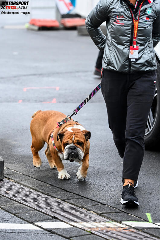 Lewis Hamilton (Mercedes) 