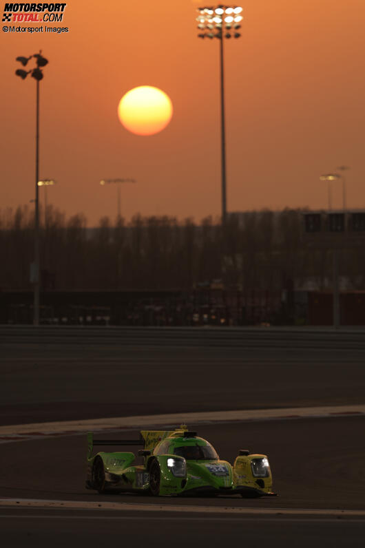 Alex Brundle und Esteban Gutierrez 