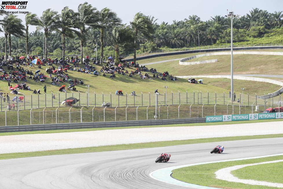 Alex Marquez (Gresini) 