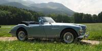 Galerie: Stylischer Sportler: Der Austin Healey 3000