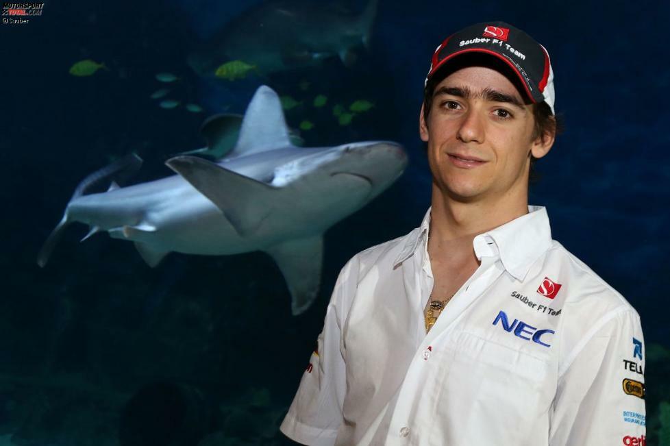 Esteban Gutierrez lächelt nett, während sich ein Hai heranpirscht - ein Foto mit Symbolcharakter, weil es auch im Paddock so zugeht? Das Melbourne Aquarium ist jedenfalls beliebte Sightseeing-Location, auch für die Formel-1-Stars.