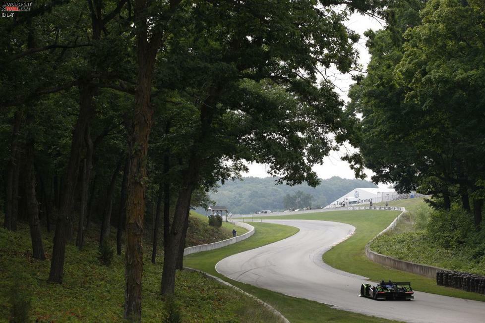 David Brabham & Scott Sharp (Acura ARX-02a)