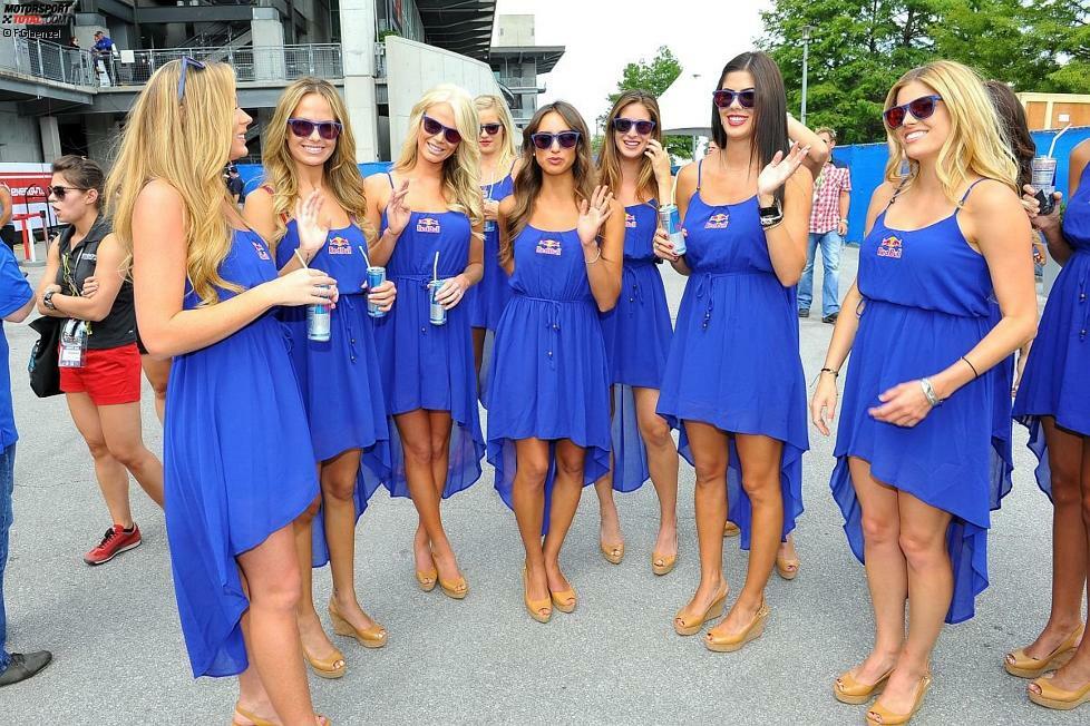Schauplatz Indianapolis: Statt Dosen schickte Hauptsponsor Red Bull Girls ins Rennen um die Gunst der Kameras