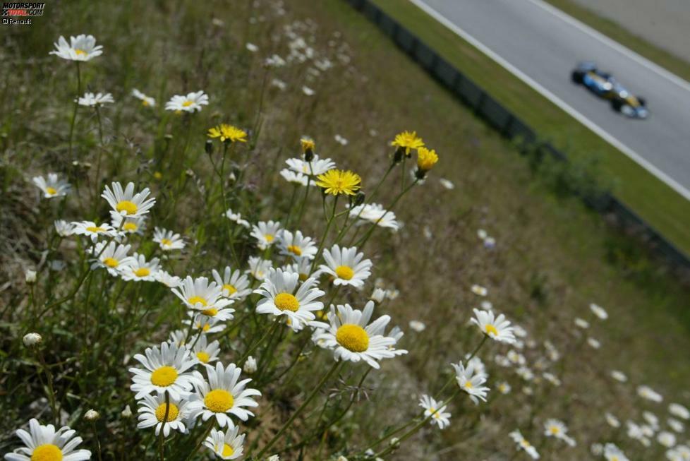 Das Umfeld blieb aber gleich: Eingebettet in den steirischen Frühling, ...