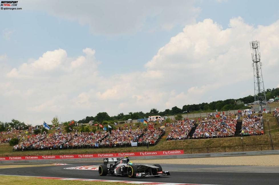 Esteban Gutierrez (Sauber): 