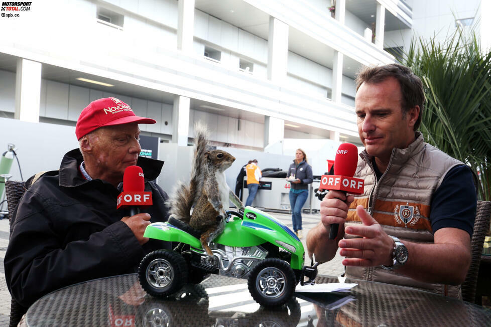 Kurioses Geschenk von Bernie Ecclestone an Niki Lauda: Das Eichhörnchen auf dem grünen Quad hat der Formel-1-Boss bei einer Auktion in London ersteigert - und dem Mercedes-Boss in einer Schachtel in die Silberpfeil-Hospi geschickt, weil er es für eine Ratte hielt. Denn: Laudas Spitzname in seiner aktive Zeit war 