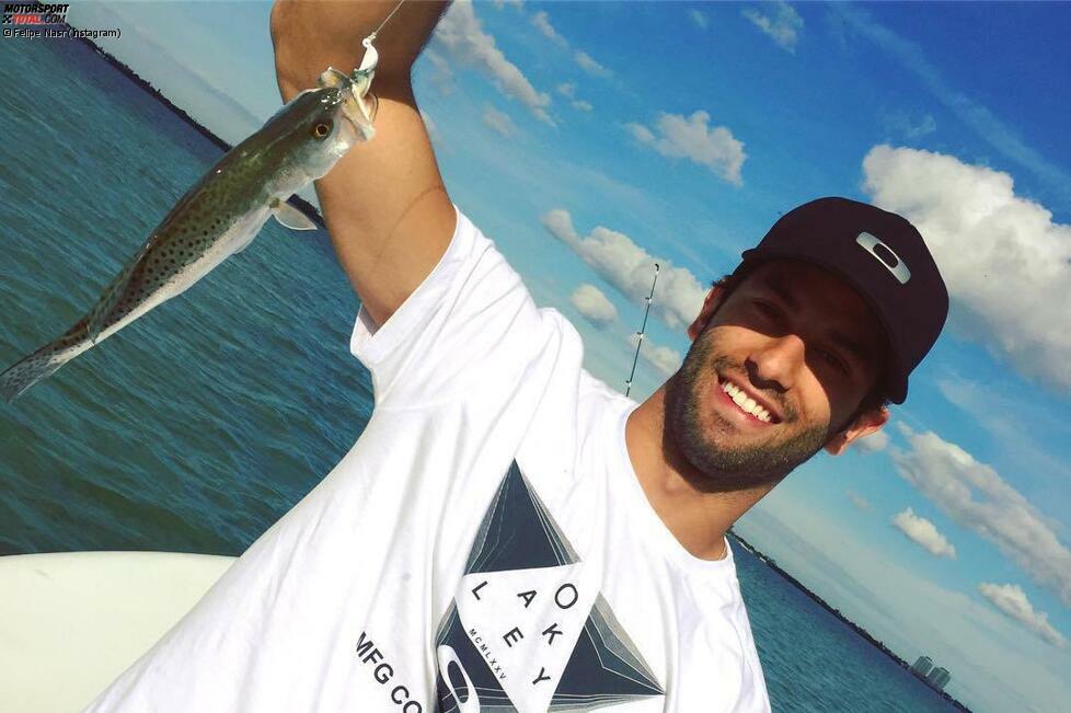 In die Kühlkammer kommt bei Felipe Nasr bestenfalls der Fisch, den er im Golf von Mexiko aus dem Meer holt. Rein sportlich gesehen möchte er schon bald dickere Fische an Land ziehen. Bernie Ecclestone himself versucht hinter den Kulissen, den Brasilianer bei Force India oder Lotus zu platzieren.