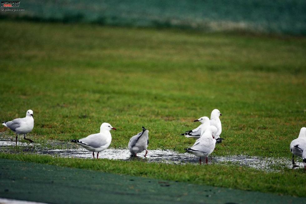 Das Wetter im australischen Sommer ist übrigens ein unsicherer Verbündeter. Obwohl es richtig heiß werden kann, regnet es in Melbourne öfters und die Luftfeuchtigkeit steigt rapide an.