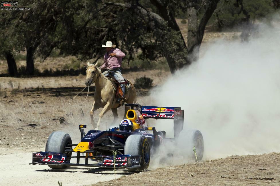 Noch vor der Eröffnung des Circuit of The Americas spielte David Coulthard den Baustellen-Cowboy: In Austin gab er den berittenen Texanern die Sporen, und zwar auf Schotter.