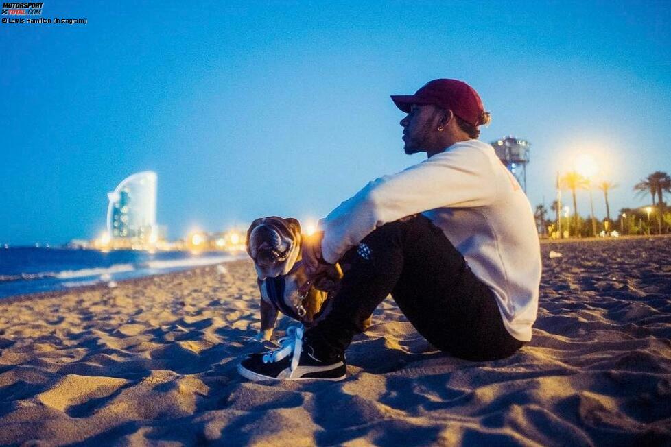 Moment der Ruhe: Hamilton chillt auf dem Strand vor dem W-Hotel, in dem er einquartiert ist, mit Hund Roscoe. Der hat am Donnerstag in der FIA-PK seinen großen Auftritt. FIA-Pressechef Matteo Bonciani lässt die ungewöhnliche Begleitung ausnahmsweise durchgehen. Viele fragen sich: Muss das sein?