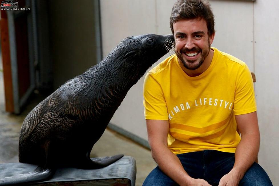 Im Zoo von Melbourne freundet sich Fernando Alonso mit der Tierwelt an. Da kann der McLaren-Star noch lachen. Nach dem (in eigenen Worten) besten Rennen seines Lebens, in dem er hoffnungslos hinterherfährt, ist die Laune nicht mehr so gut.