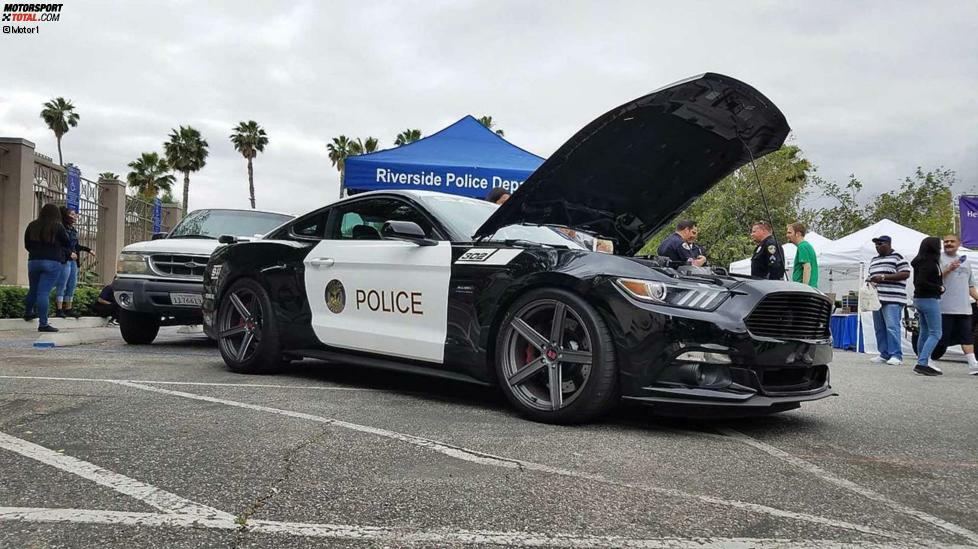 Saleen S302 (USA): Das Riverside Police Department in Kalifornien besitzt einen sehr coolen Ford Mustang mit 730-PS-Umbau. Das Kompressor-Monster hört auf den Namen Saleen S302. Man verwendet den extrastarken Mustang aber nicht im offiziellen Dienst, sondern als auffälliges Fahrzeug für Shows, Paraden und andere besondere Anlässe.