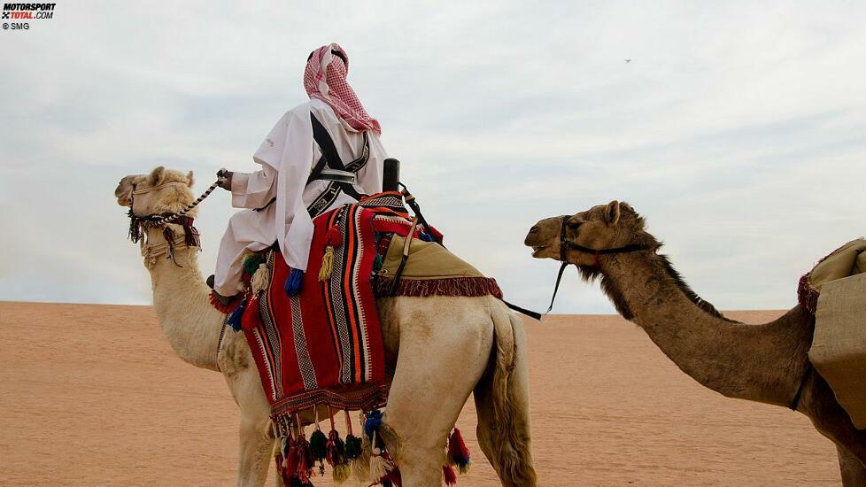 Über mehr als 3.000 Jahre waren Arabische Kamele (Dromedar) das Rückgrat für den Transport von Waren und Gütern durch die Wüste.
