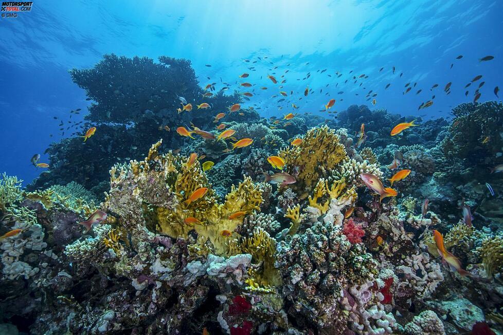 Dieser Küstenabschnitt am Roten Meer ist berühmt als wunderschöne Gegend für Taucher und Wassersport.