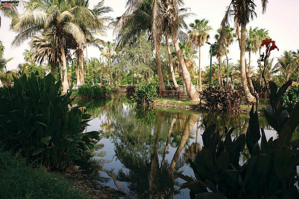 Für Besucher ist auch der Yanbu-See empfehlenswert. Es ist einer der größten künstlichen Seen in Saudi-Arabien. Die abwechslungsreiche Flora lädt zum Verweilen ein.