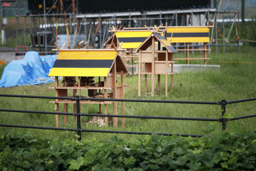 ... pure Absicht: Sie stehen für die Wildbienen, die sich in den Insekten-Hotels ansiedeln sollen, mit der Biene als eine 