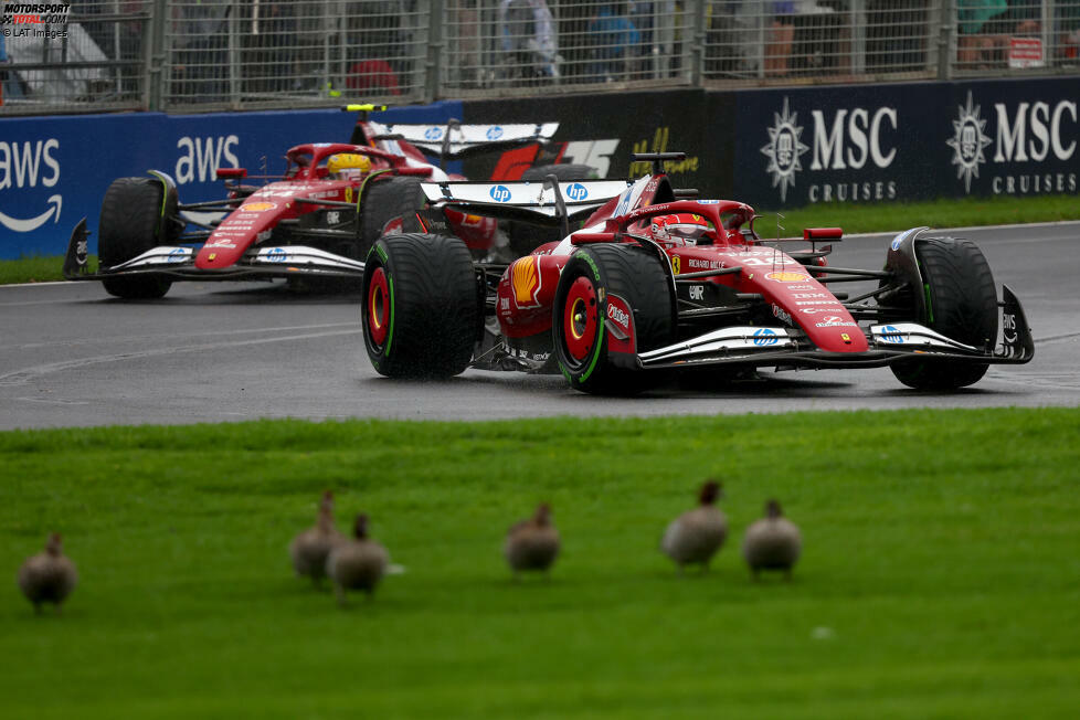 Charles Leclerc (Marc Surer: 2) - 