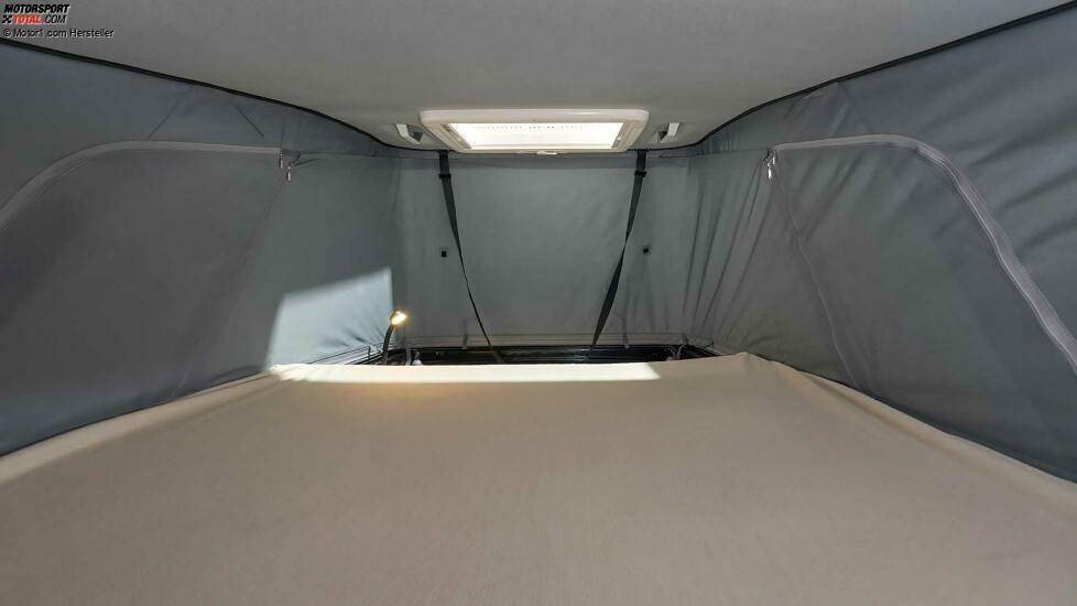 Carado Edition15 Camper Vans mit Aufstelldach (2021)