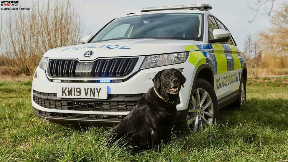 Skoda Modelle als Polizeifahrzeuge 2021