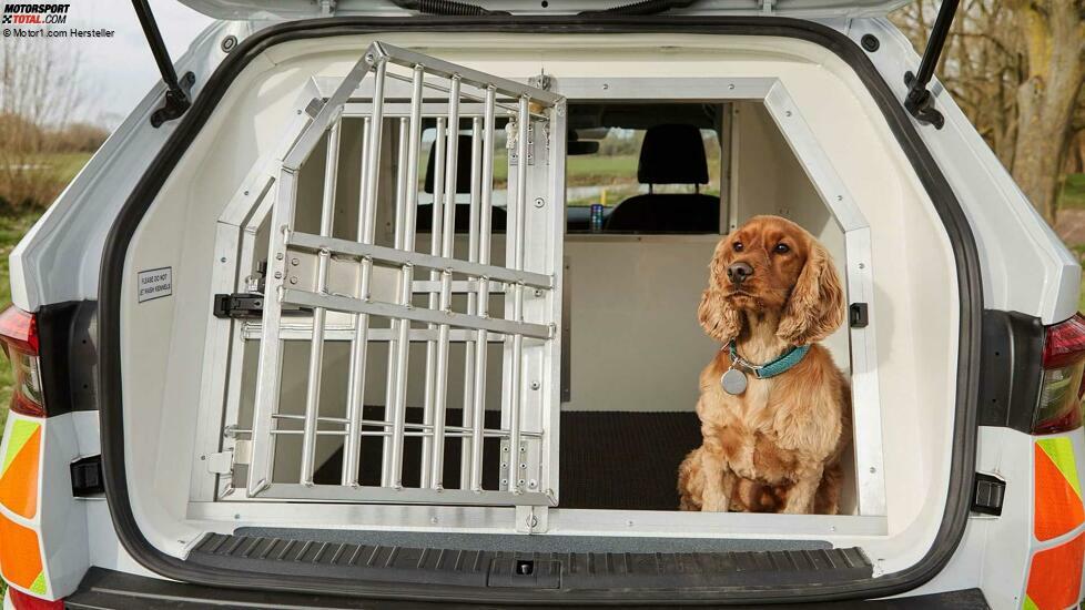 Skoda Modelle als Polizeifahrzeuge 2021