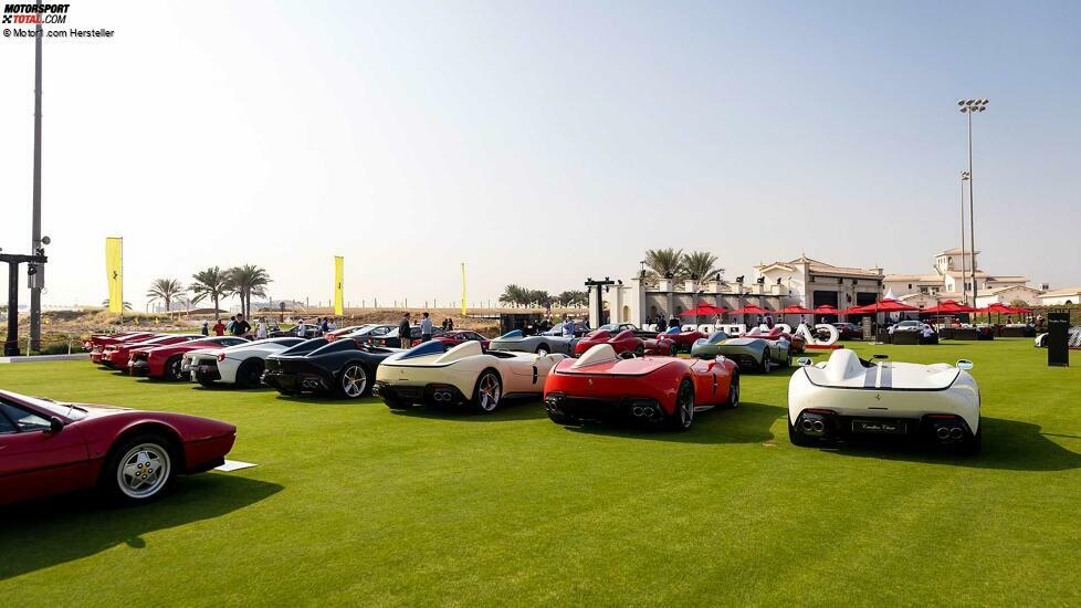 Cavallino Classic Middle East 2021