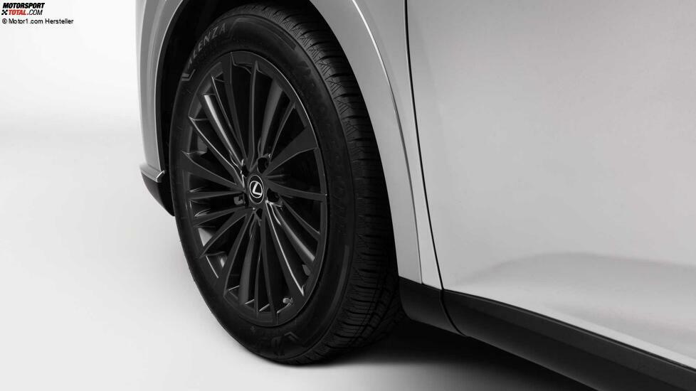 2023 Lexus RX 350 Rad