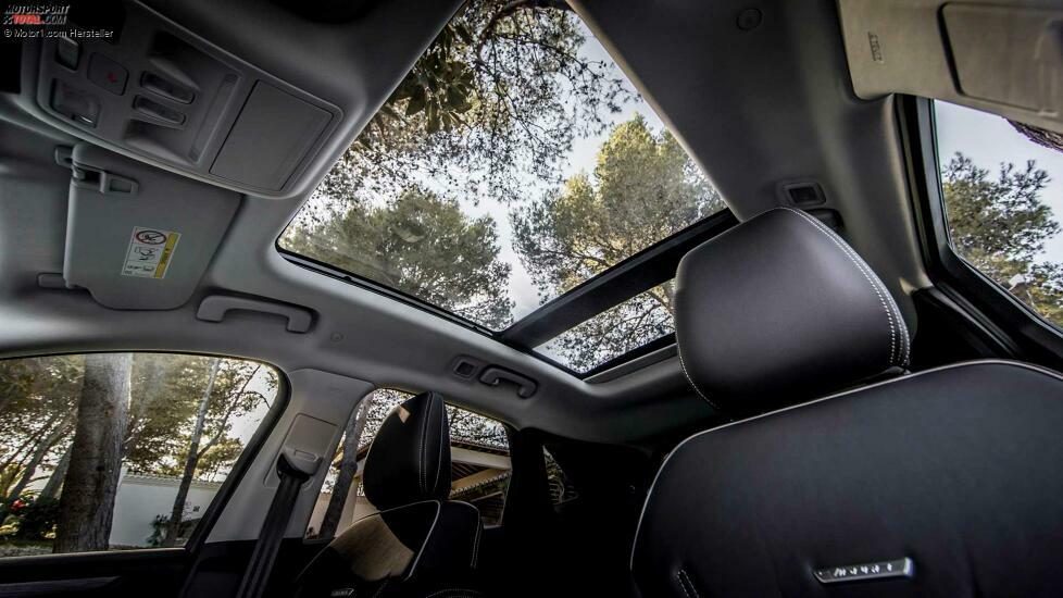 Ford Kuga Vignale EcoBlue Hybrid (2020) On Location