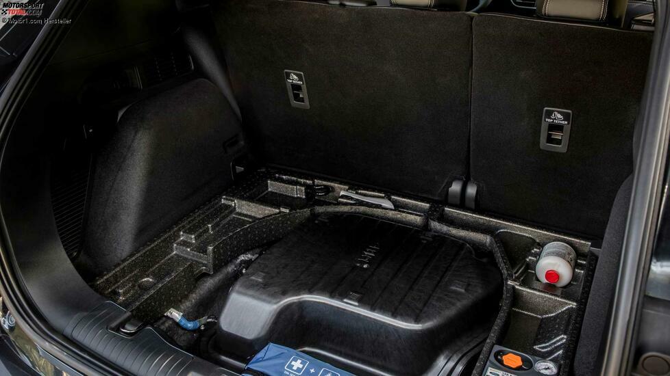 Ford Kuga Vignale EcoBlue Hybrid (2020) On Location