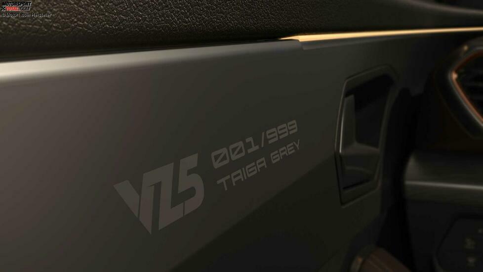 Cupra Formentor VZ5 Taiga Grey