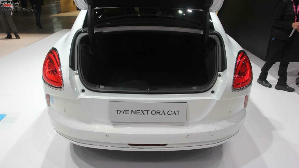 The Next Ora Cat (2022)