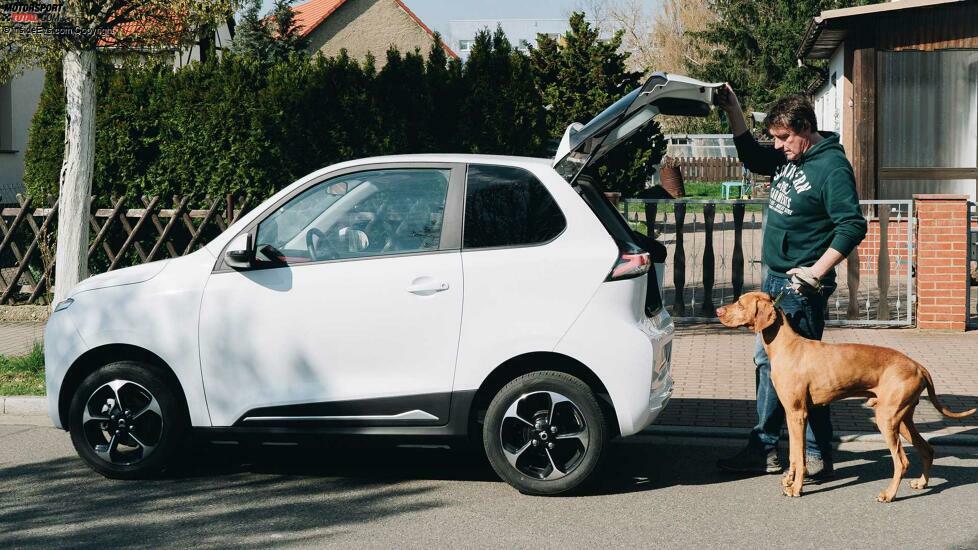 ARI 902 Cargo für Hundebesitzer