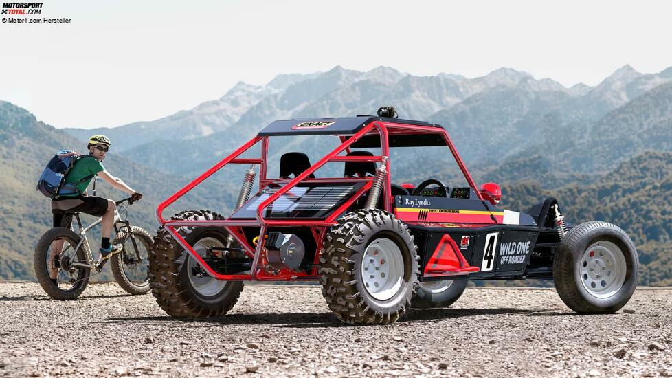 The Little Car Company Tamiya Wild One Max