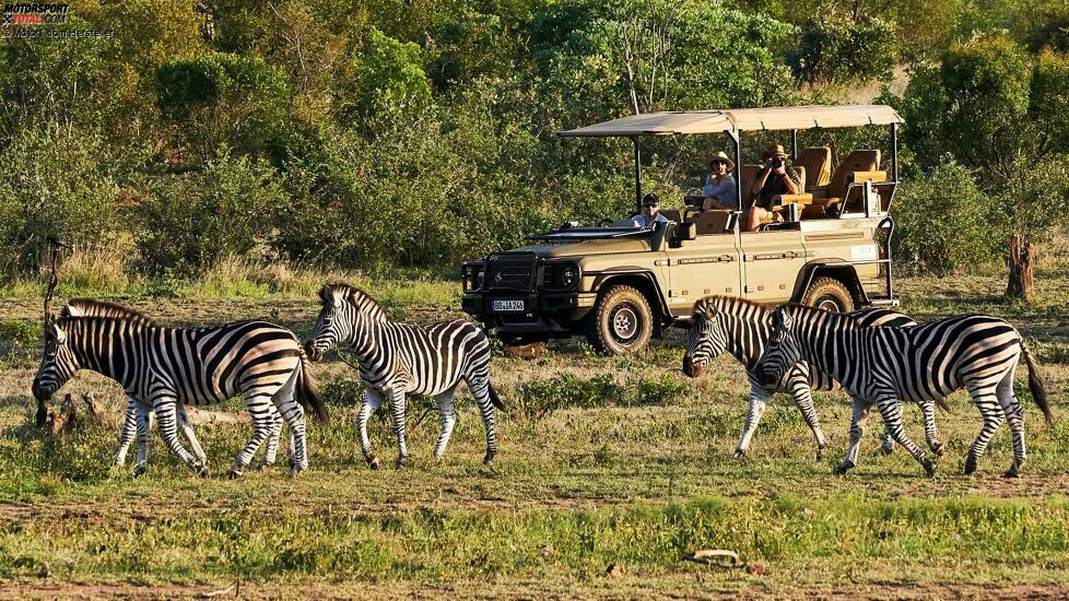 Ineos Grenadier Safari (2023)