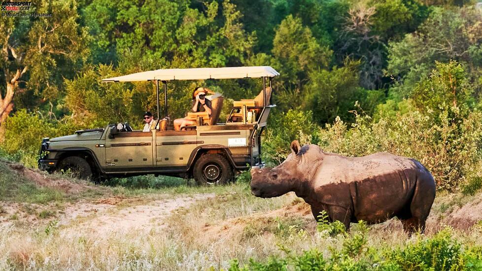 Ineos Grenadier Safari (2023)