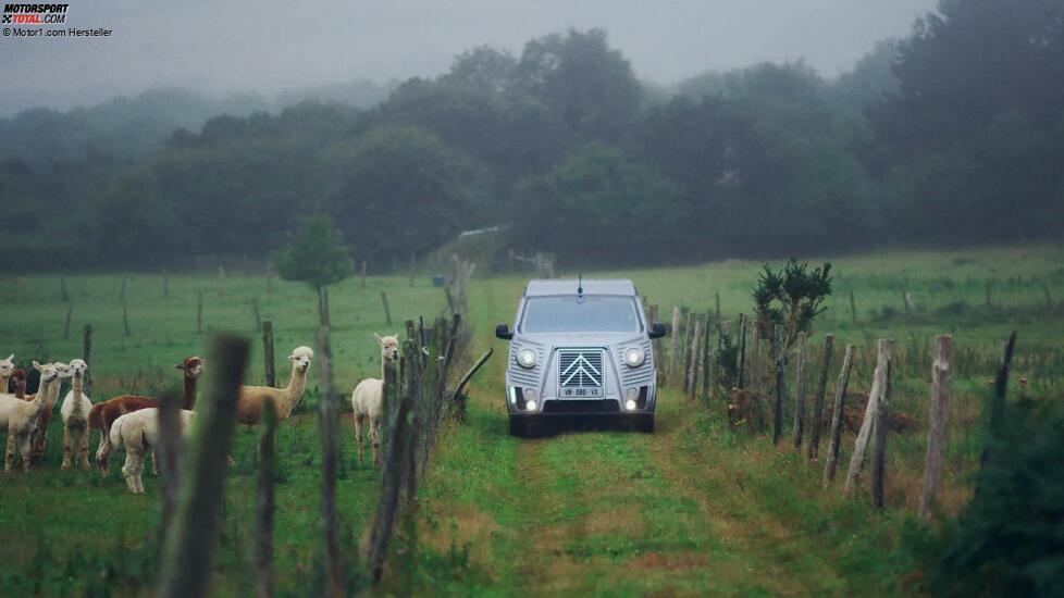 Citroen Type Holidays (2023)