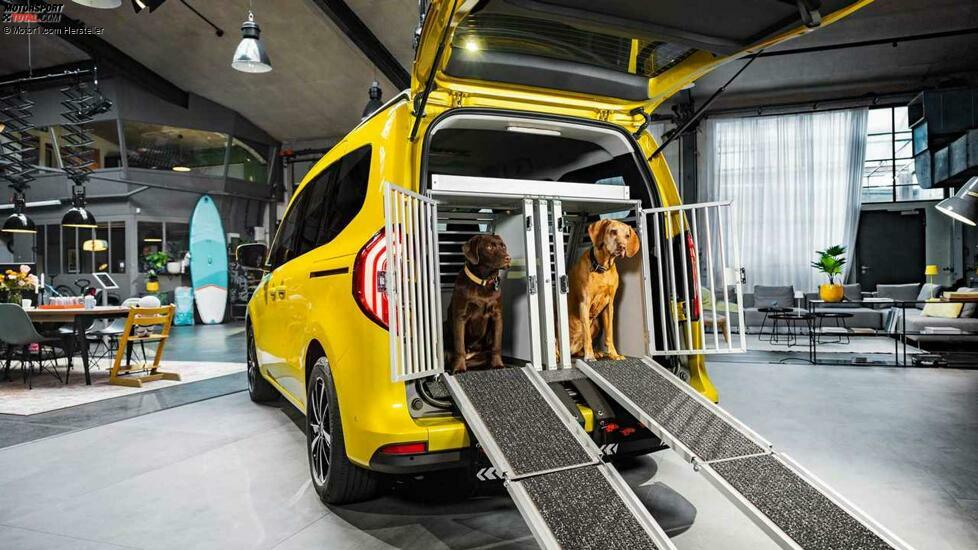 Mercedes T-Klasse (2022)