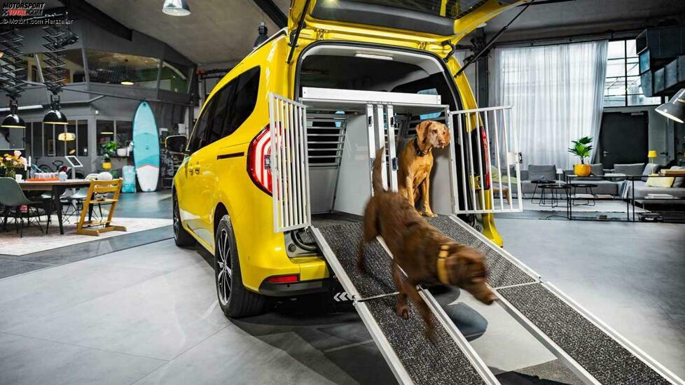 Mercedes T-Klasse (2022)