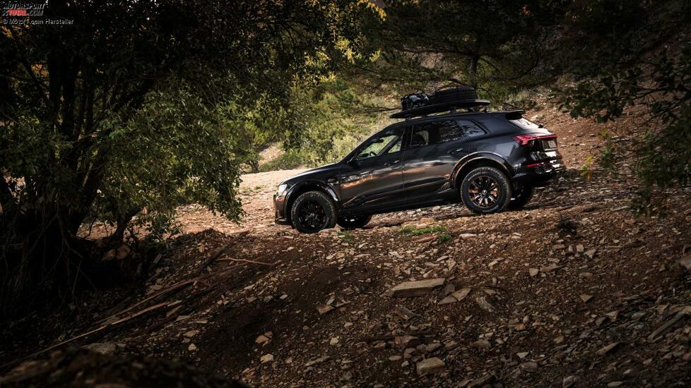 Audi Q8 e-tron edition Dakar (2024)