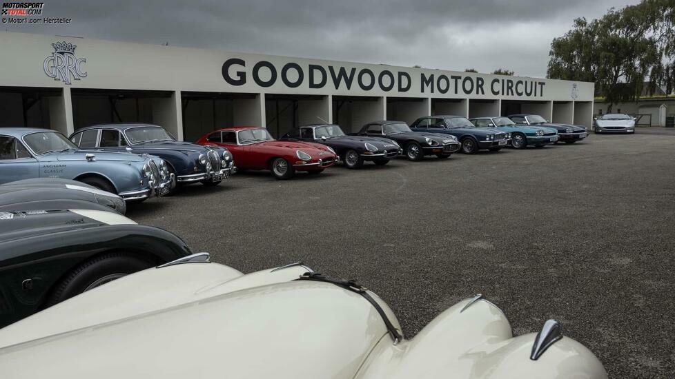 2024 Goodwood Classic Jaguar