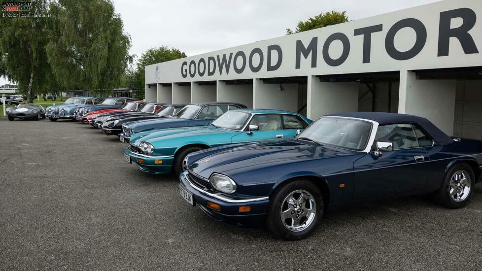 2024 Goodwood Classic Jaguar
