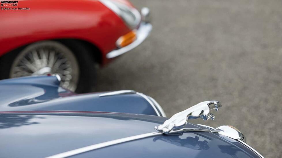 2024 Goodwood Classic Jaguar