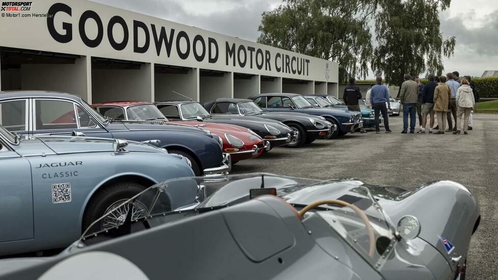 2024 Goodwood Classic Jaguar