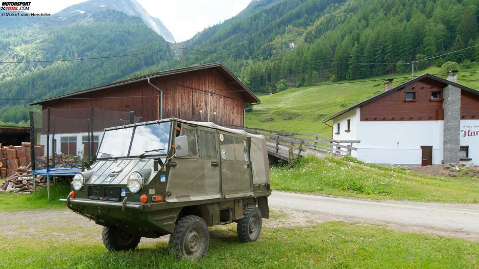 Ein Haflinger in seiner Umgebung ? die Berge Österreichs