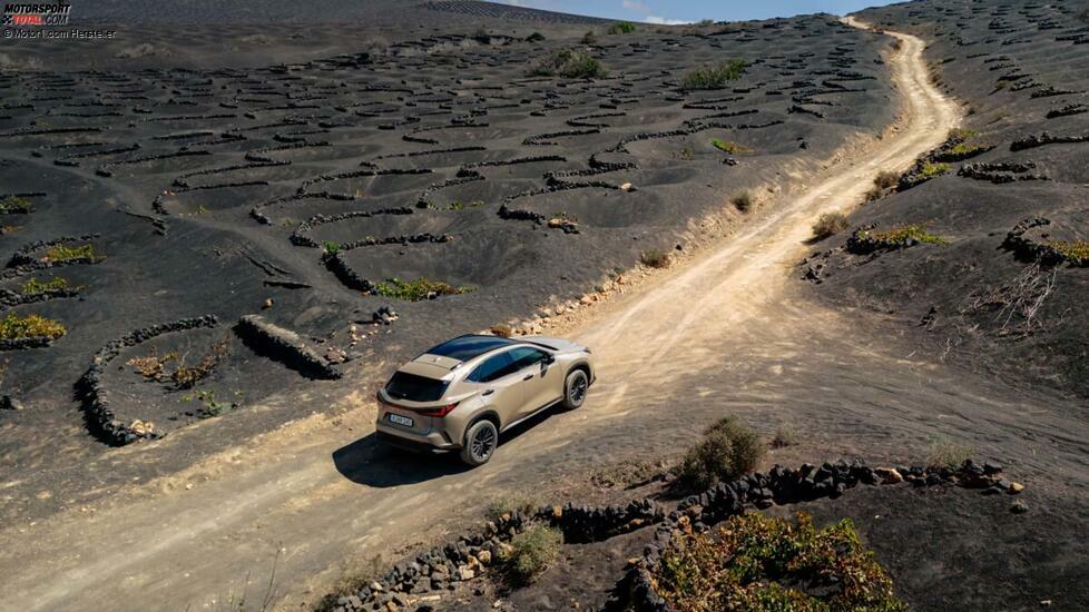 Lexus NX Overtrail 2025