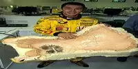 Takuma Sato