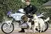 Bild zum Inhalt: Ralf Schumacher entspannt beim Motorradfahren