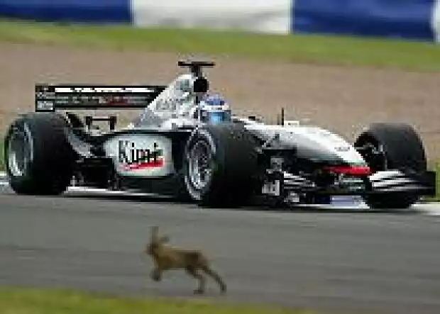 Kimi Räikkönen Titel-Bild zur News: Kimi Räikkönen