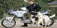 Ralf Schumacher