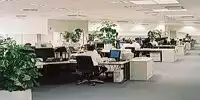Toyota-Motorentwicklung