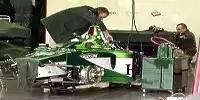 Jaguar in der Box